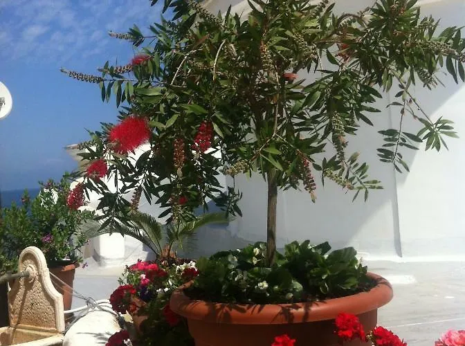 Celestina Ischia Lacco Ameno (Isola d'Ischia)