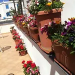 Celestina Ischia