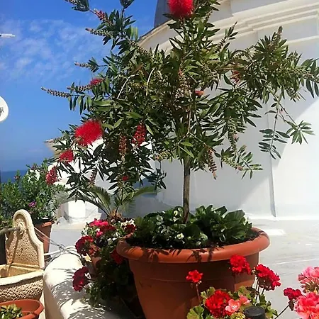 Bed & Breakfast Celestina Ischia 4*