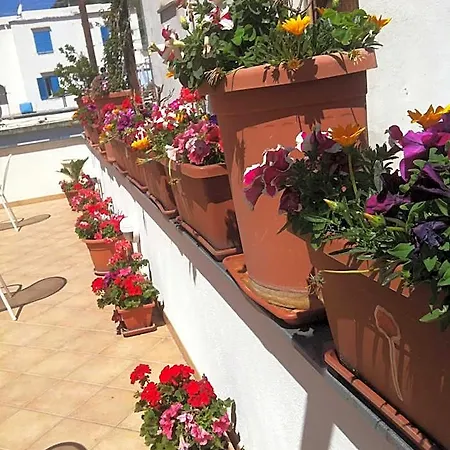 Celestina Ischia Bed & Breakfast Lacco Ameno (Isola d'Ischia)