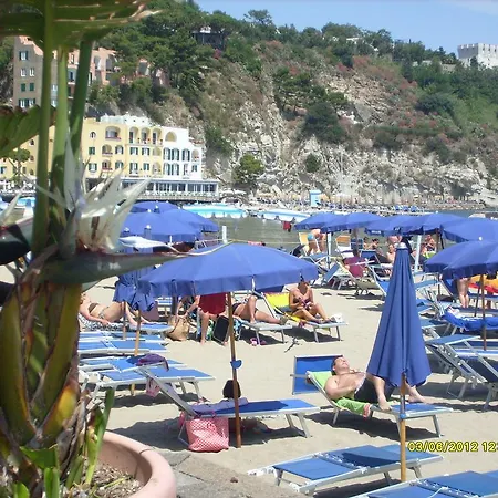Celestina Ischia *