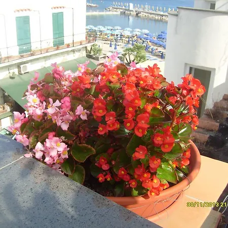 Bed & Breakfast Celestina Ischia