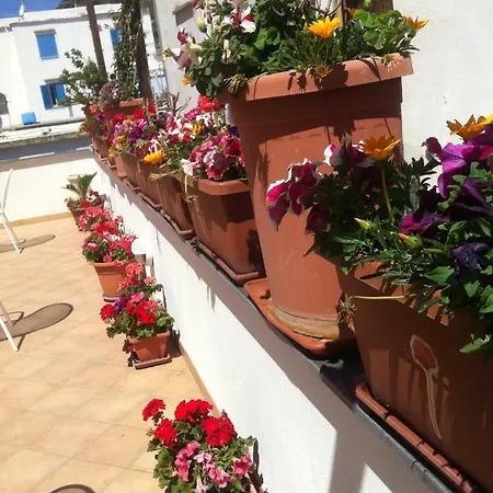 Celestina Ischia