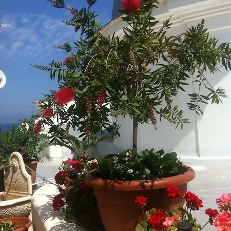 Celestina Ischia Lacco Ameno (Isola d'Ischia)